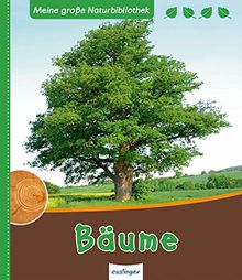 Bäume (Meine große Naturbibliothek)