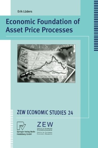 Economic Foundation of Asset Price Processes (ZEW Economic Studies)