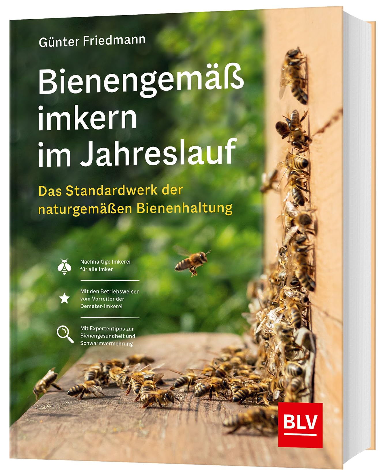 Bienengemäß imkern im Jahreslauf: Das Standardwerk der naturgemäßen Bienenhaltung (BLV Bienen & Imkern)