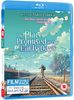 Place Promised in Our Early Days / Voices of a Distant Star - Twin Pack Standard Blu-Ray [UK Import]