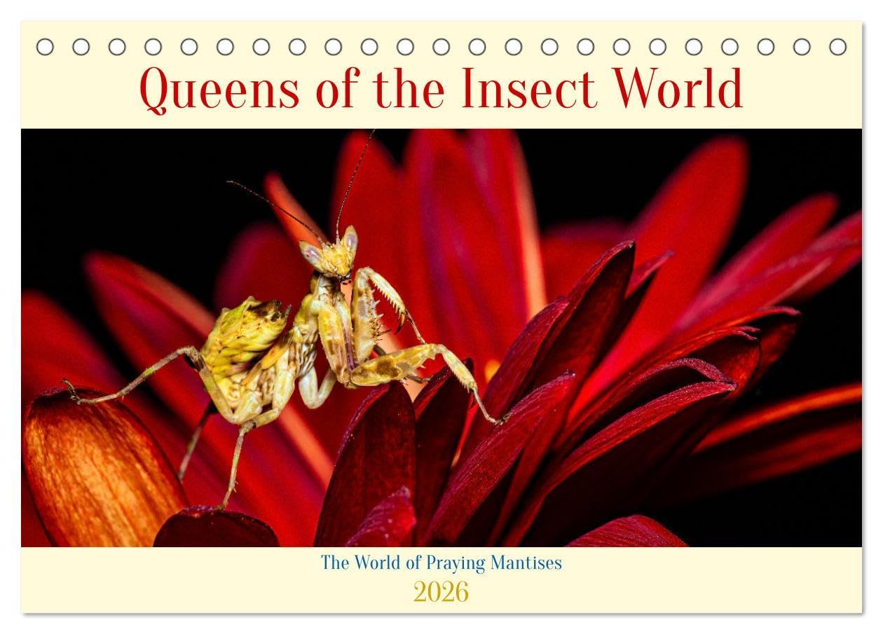 Queens of the Insect World (Desk Calendar 2026 DIN A5 landscape), CALVENDO 12 Month DeskCalendar: Mantis Queens of the Insect World