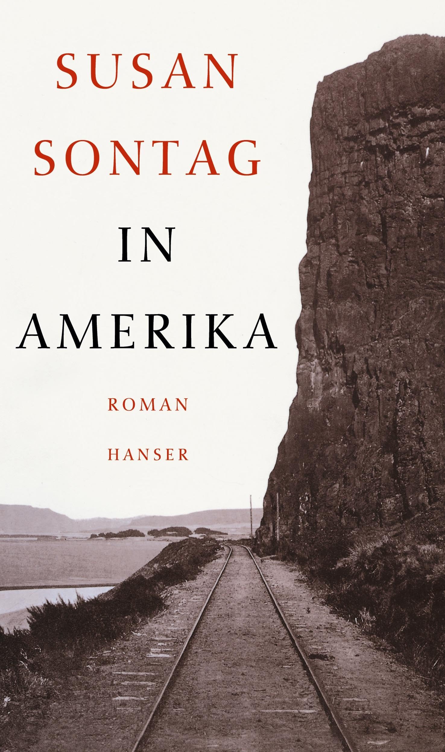 In Amerika: Roman
