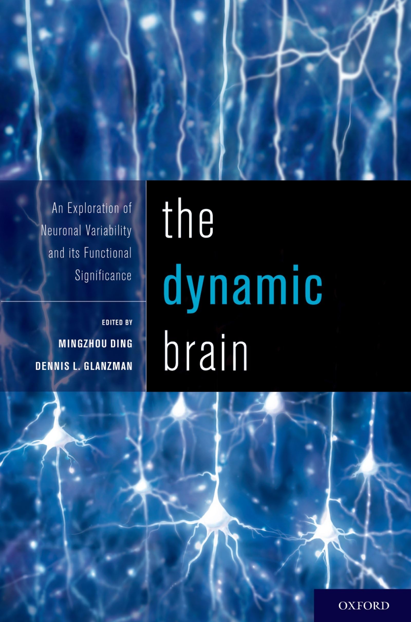 Dynamic Brain: An Exploration of Neuronal Variability and Its Functional Significance