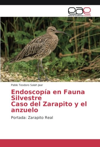 Endoscopía en Fauna Silvestre Caso del Zarapito y el anzuelo: Portada: Zarapito Real