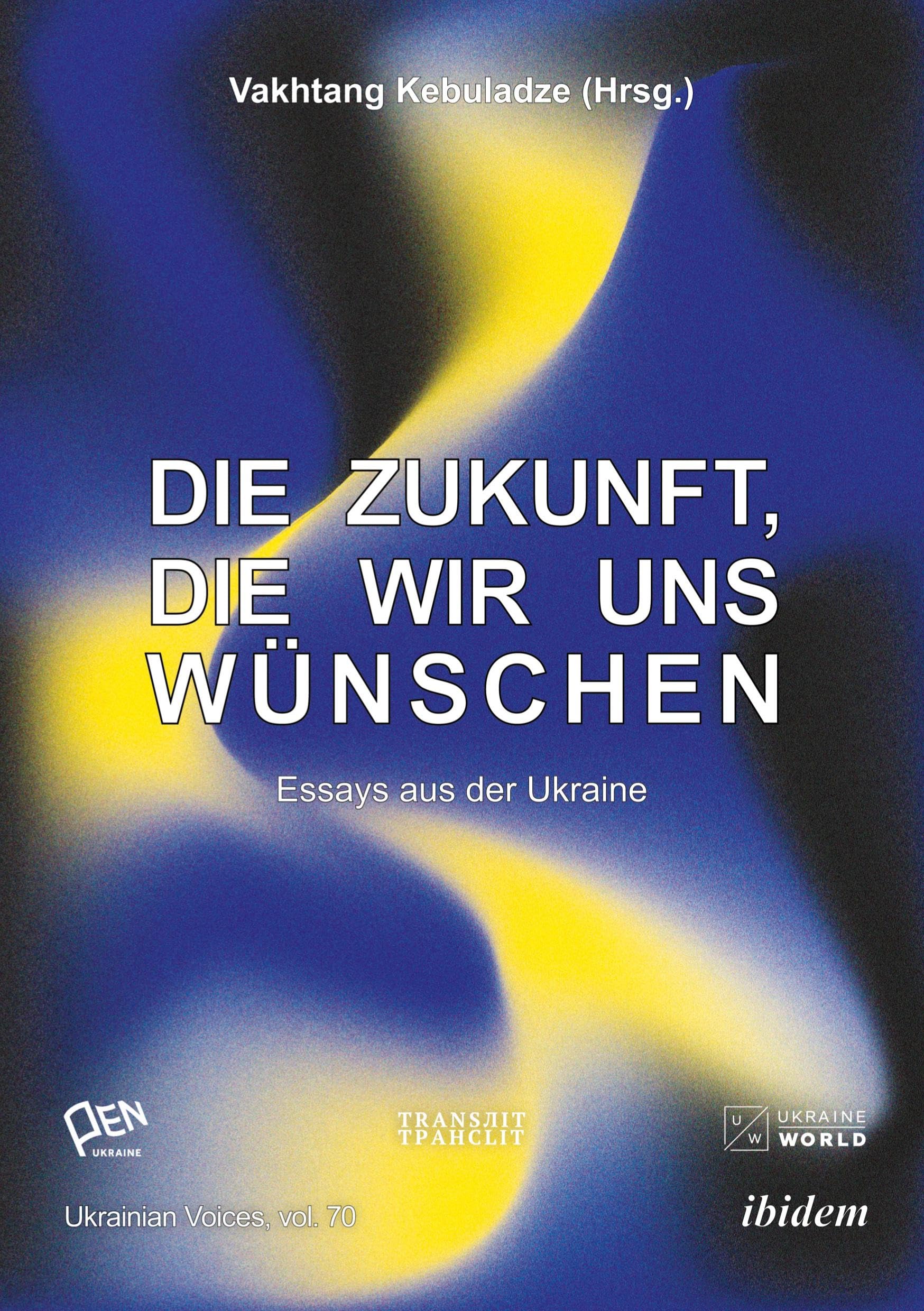Die Zukunft, die wir uns wünschen: Essays aus der Ukraine (Ukrainian Voices)