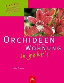 Orchideen für die Wohnung - so geht's: Extra: Die schönsten Arten und Sorten auf einen Blick