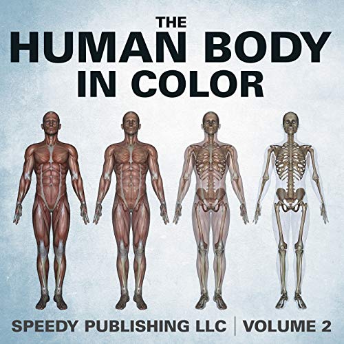 The Human Body In Color