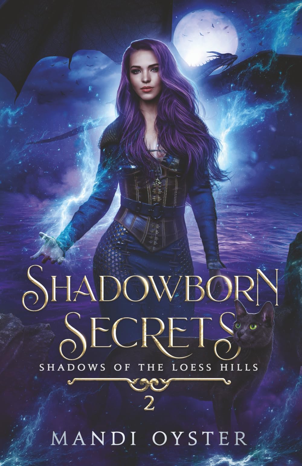 Shadowborn Secrets: A New Adult Urban Fantasy Novel (Shadows of the Loess Hills, Band 2)