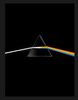 Pink Floyd, their mortal remains