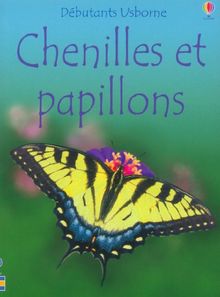 Chenilles et papillons