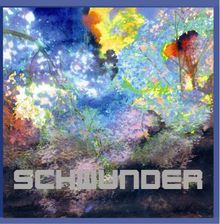 Schwunder