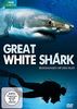 Great White Shark - Begegnung mit dem Killer
