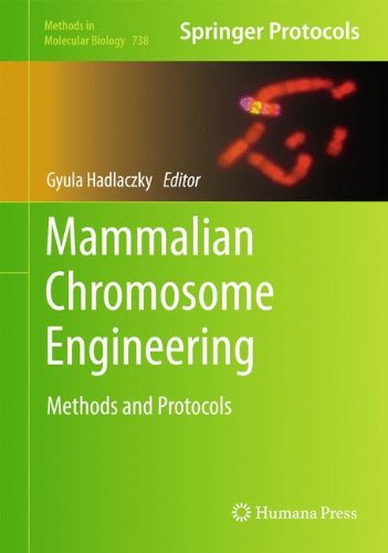 Mammalian Chromosome Engineering: Methods and Protocols (Methods in Molecular Biology)