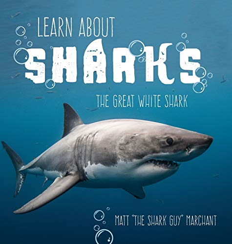 Learn About Sharks: The Great White Shark