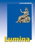 Lumina. Lehrgang für Latein als 2. Fremdsprache: Lumina, Lernvokabeln