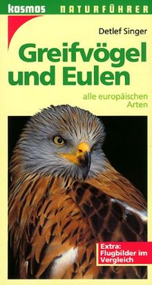 Greifvögel und Eulen