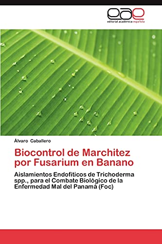 Biocontrol de Marchitez por Fusarium en Banano: Aislamientos Endofíticos de Trichoderma spp., para el Combate Biológico de la Enfermedad Mal del Panamá (Foc)