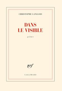 Dans le visible : poèmes