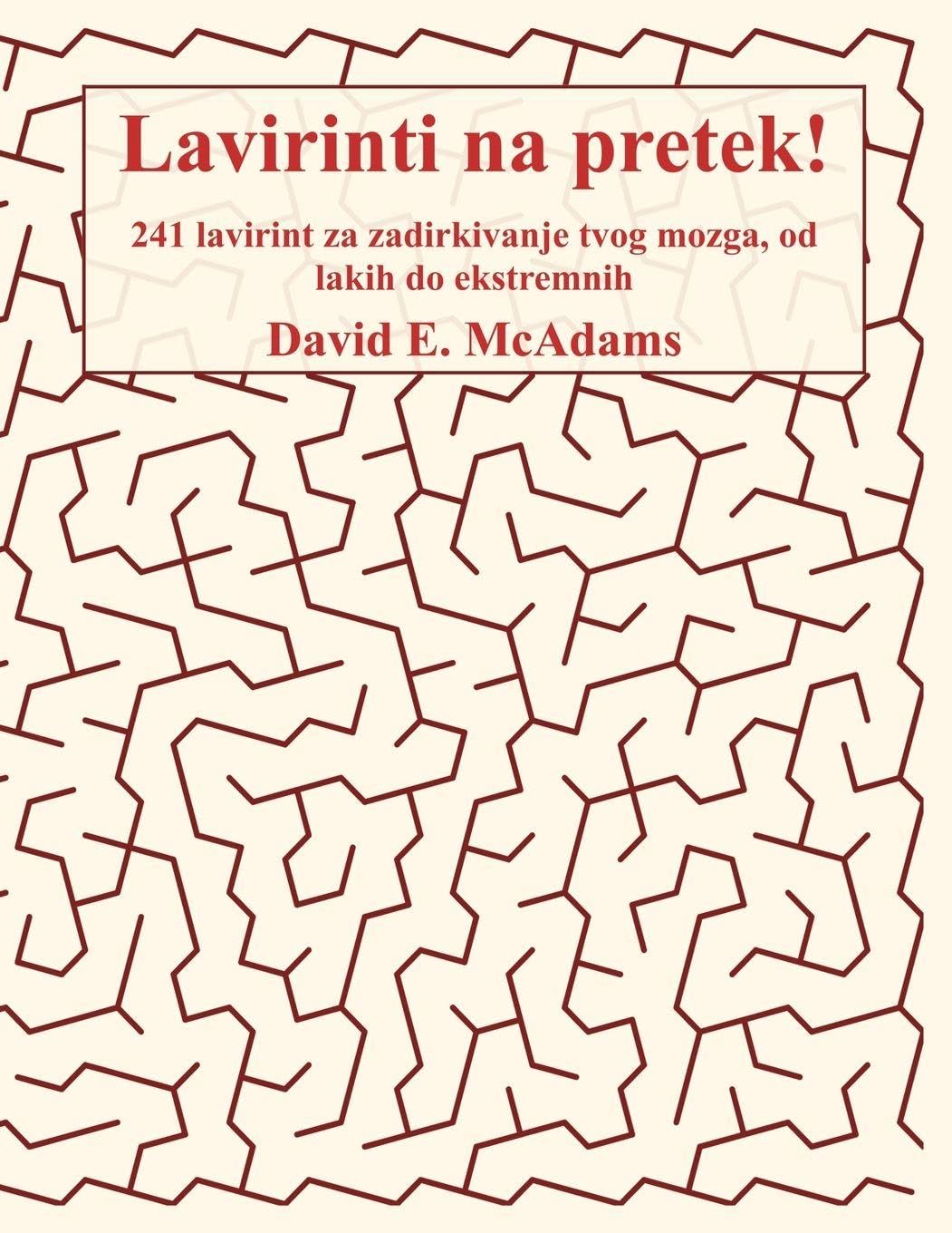 Lavirinti na pretek!: 241 lavirint za zadirkivanje tvog mozga, od lakih do ekstremnih (Matematičke Knjige Za Djecu)