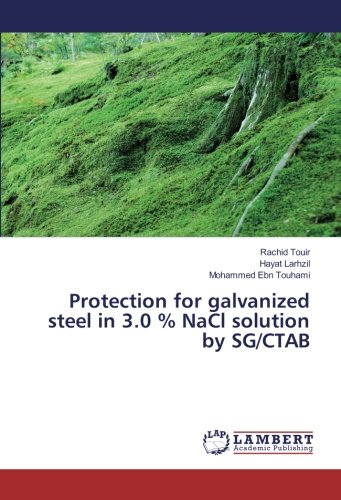 Protection for galvanized steel in 3.0 % NaCl solution by SG/CTAB