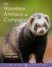 Les nouveaux animaux de compagnie von Bulard-Cordeau, Brigitte | Buch | Zustand sehr gut