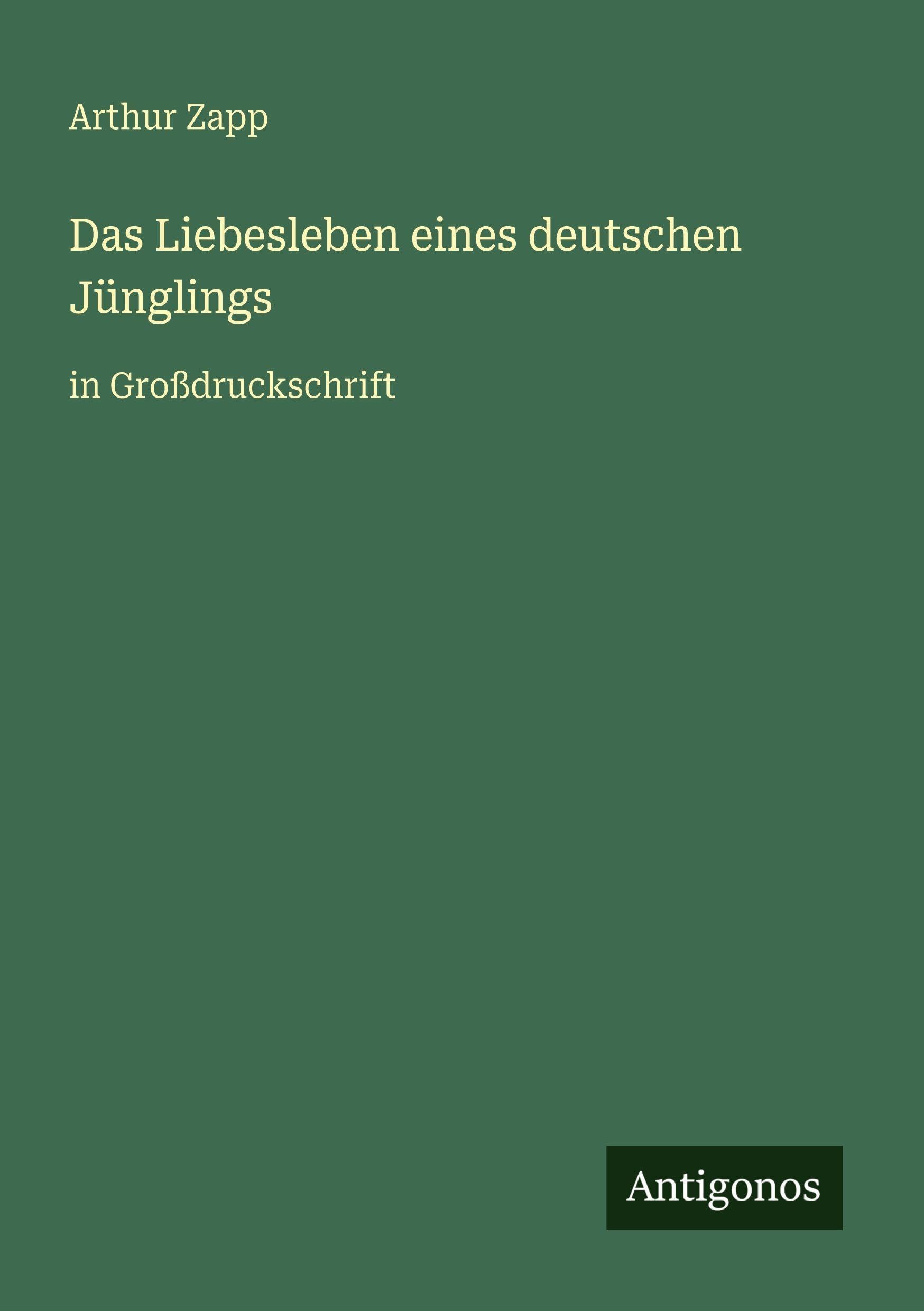 Das Liebesleben eines deutschen Jünglings: in Großdruckschrift