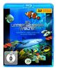 3D Unterwasserwelten - Tropen-Aquarium Hagenbeck [3D Blu-ray]