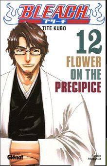 Bleach. Vol. 12. Flower on the precipice