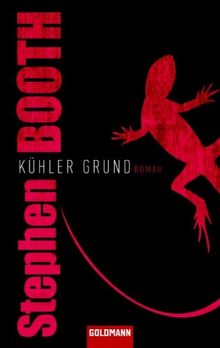 Kühler Grund: Roman