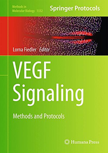VEGF Signaling: Methods and Protocols (Methods in Molecular Biology)