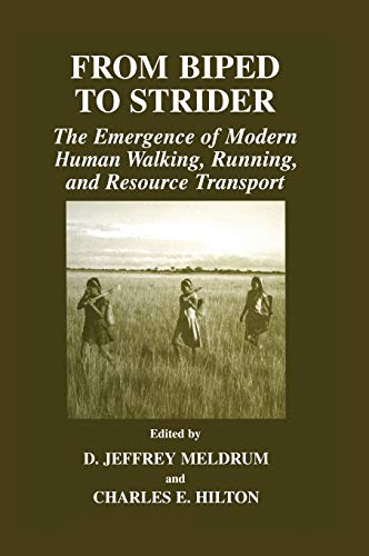 From Biped to Strider: The Emergence of Modern Human Walking, Running, and Resource Transport