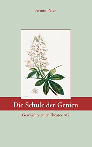 Die Schule der Genien: Geschichte einer Theater AG