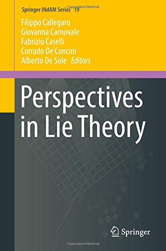 Perspectives in Lie Theory (Springer INdAM Series, Band 19)