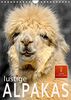 Lustige Alpakas (Wandkalender 2023 DIN A4 hoch), Calvendo Monatskalender