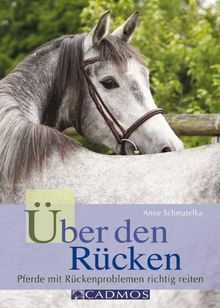 Über den Rücken: Pferde mit Rückenproblemen richtig reiten