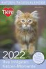 Katzen-Tageskalender 2022