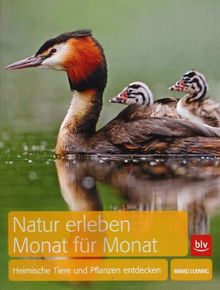 Natur erleben Monat für Monat: Heimische Tiere und Pflanzen entdecken