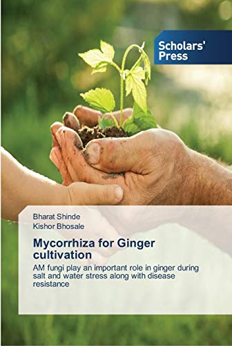 Mycorrhiza for Ginger cultivation: AM fungi play an important role in ginger during salt and water stress along with disease resistance
