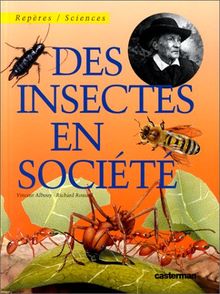 Des insectes en société