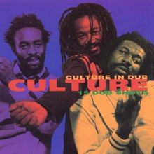 Culture in Dub:15 Dub Shots von Culture | CD | Zustand gut