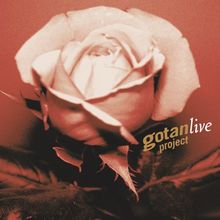 Gotan Project Live-Two Tours