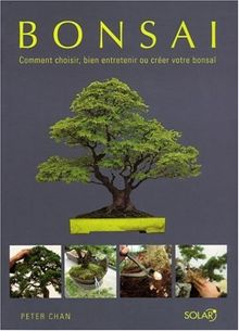 Bonsaï : comment choisir, bien entretenir ou créer votre bonsaï