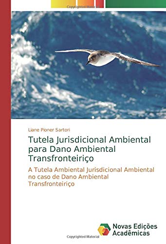 Tutela Jurisdicional Ambiental para Dano Ambiental Transfronteiriço: A Tutela Ambiental Jurisdicional Ambiental no caso de Dano Ambiental Transfronteiriço