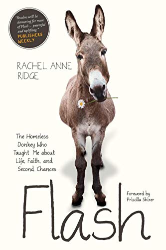 Ridge, Rachel Anne Flash (Flash The Donkey)