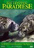Die letzten Paradiese (Teil 11)- Florida: Geheimnisvolle Flußwelt der Seekühe