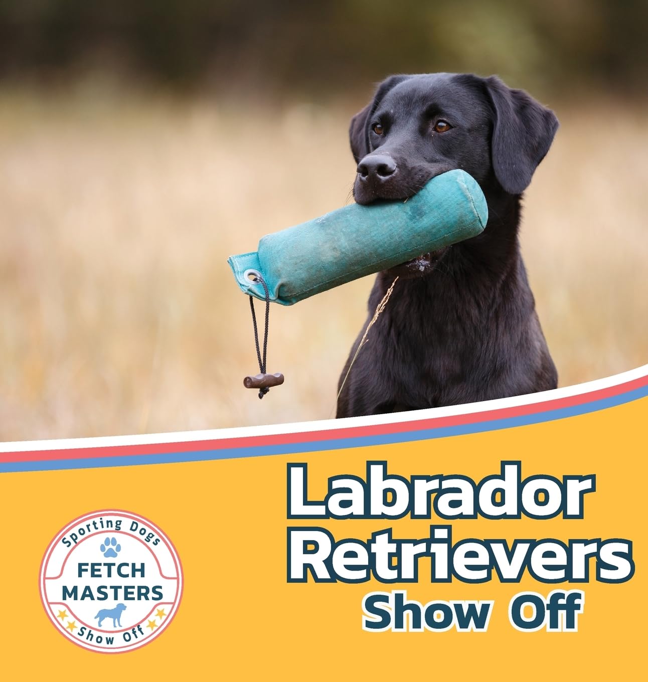 Labrador Retrievers Show Off (Fetch Masters: Sporting Dogs Show Off, Band 3)