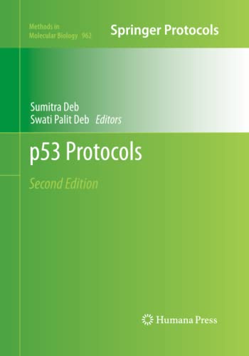 p53 Protocols (Methods in Molecular Biology, Band 962)