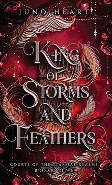 King of Storms and Feathers: Special Color Hardcover Edition: A Fae Fantasy Bully Romance (Courts of the Star Fae Realms, Band 1)