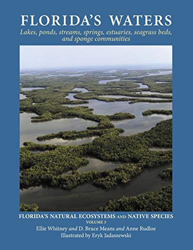 Ellie Whitney Florida's Waters (Florida's Natural Ecosystems And Native Species, Band 3)