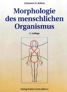 Morphologie des menschlichen Organismus